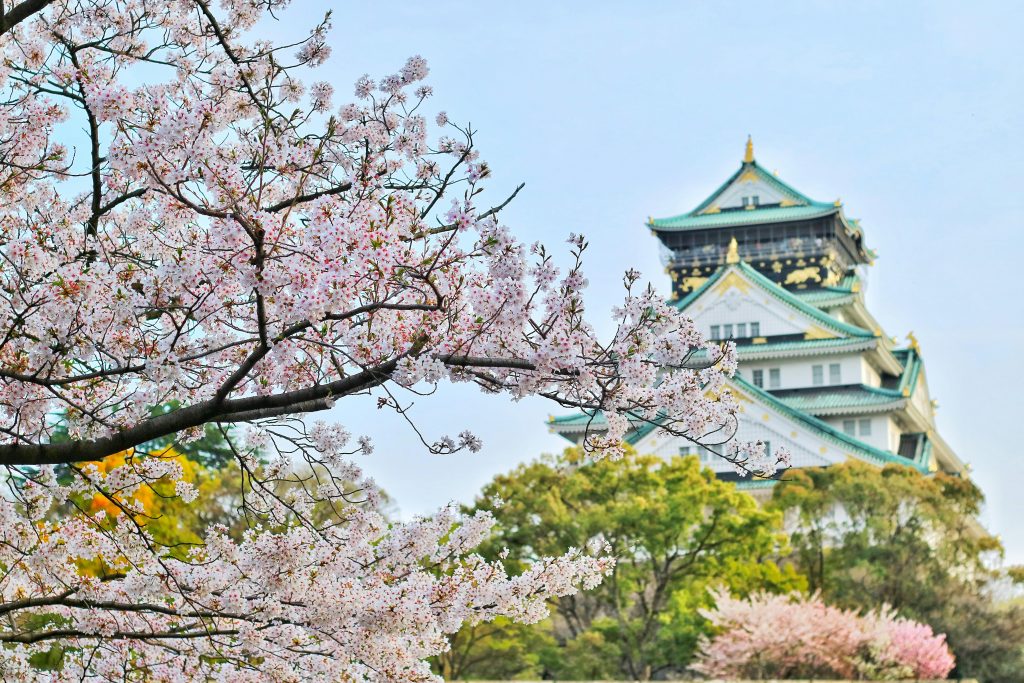 What You Need to Succeed in Japan